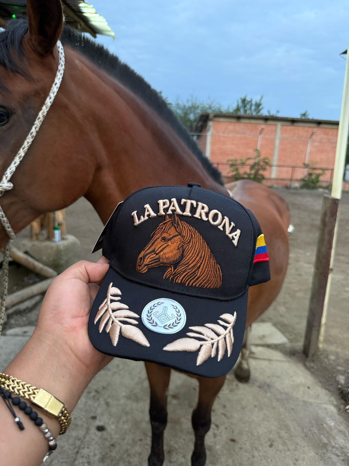 Miniatura 2 de Gorra La Patrona Negra 🐎